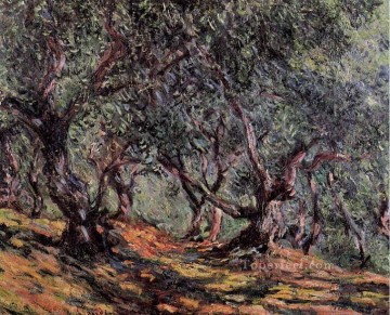  trees Oil Painting - Olive Trees in Bordighera Claude Monet